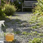 Désherbant naturel à base de vinaigre et sel dans un jardin avec mauvaises herbes visibles.