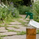 Application d'un désherbant maison à base de vinaigre et sel sur des mauvaises herbes dans un jardin.